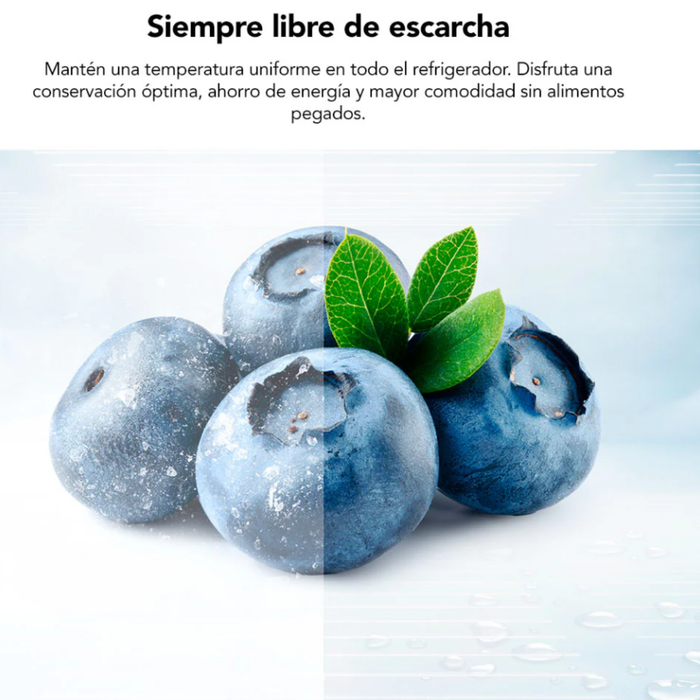 Refrigerador Bottom Freezer TCL 409L No Frost P409BFB